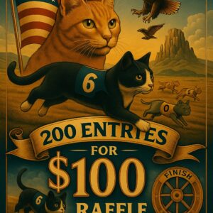 200 Tickets For $100